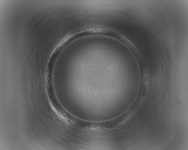 X0000080660730200612221050