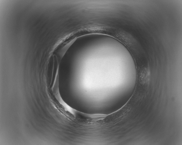 X0000080660732200612221050