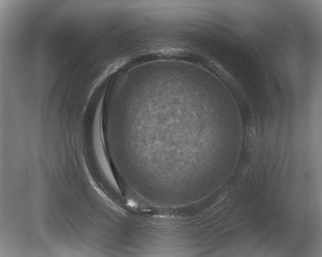 X0000080660734200612221050