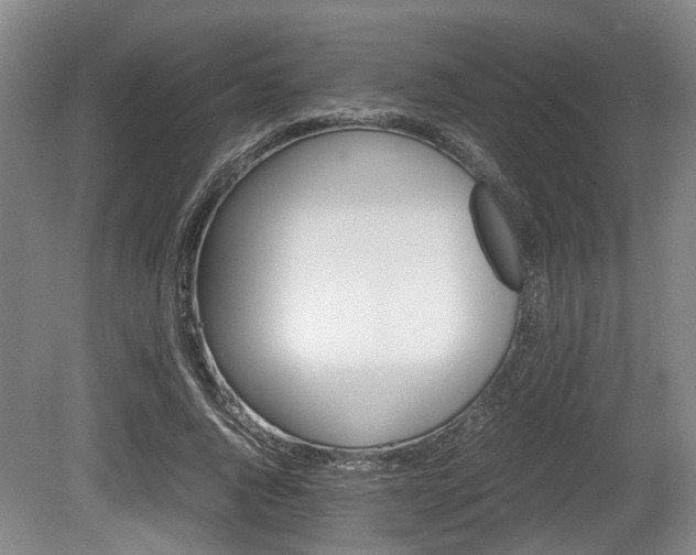 X0000080660736200612221050