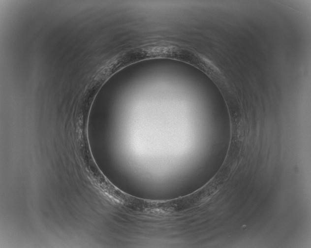 X0000080660737200612221050