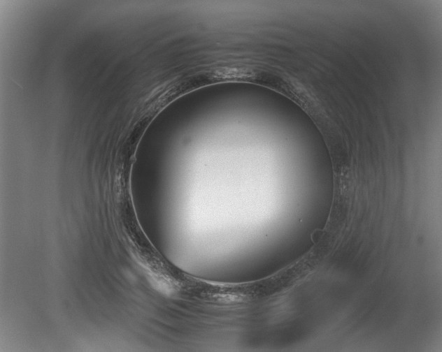 X0000080660741200612221050