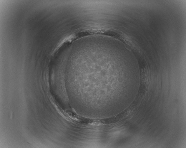 X0000080660742200612221050