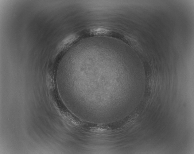 X0000080660743200612221050