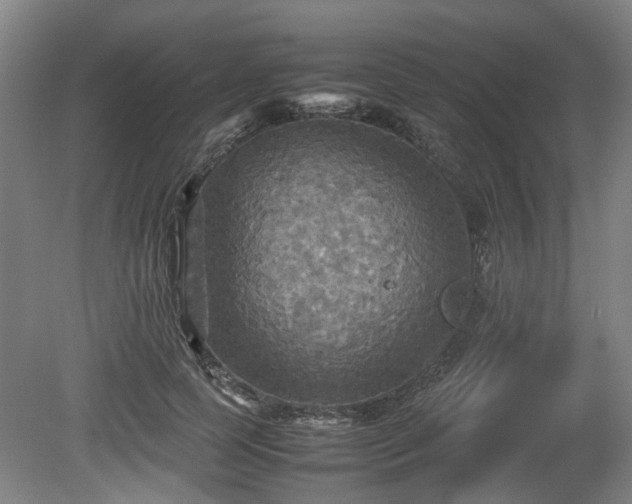 X0000080660745200612221050