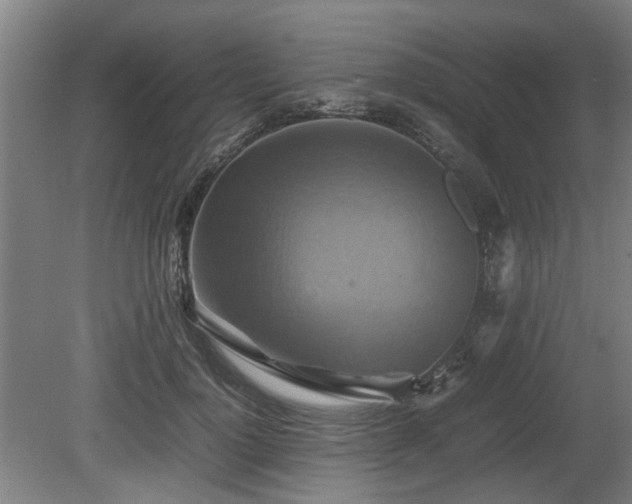 X0000080660748200612221050