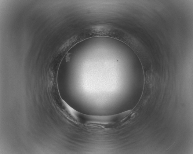 X0000080660752200612221050