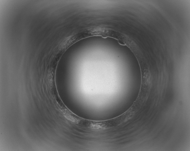 X0000080660753200612221050