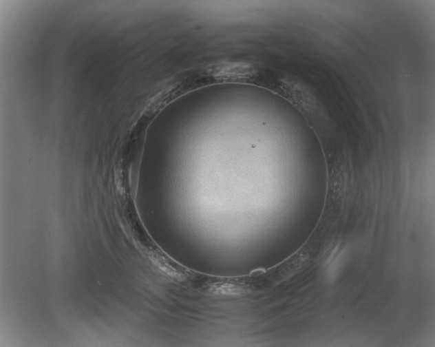 X0000080660755200612221050