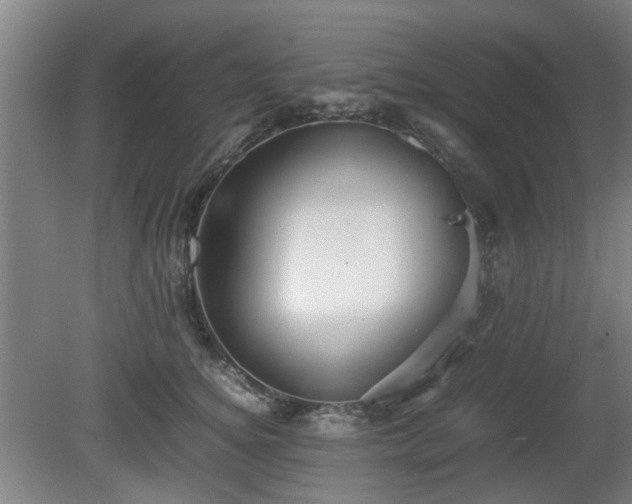 X0000080660756200612221050