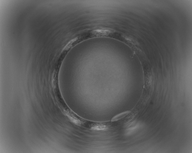 X0000080660759200612221051