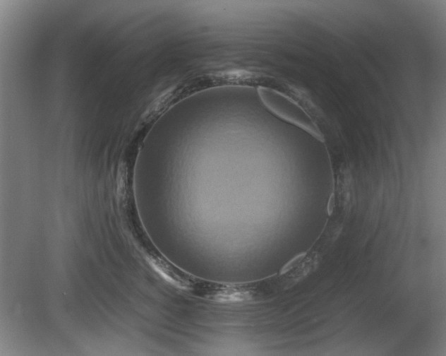 X0000080660760200612221051