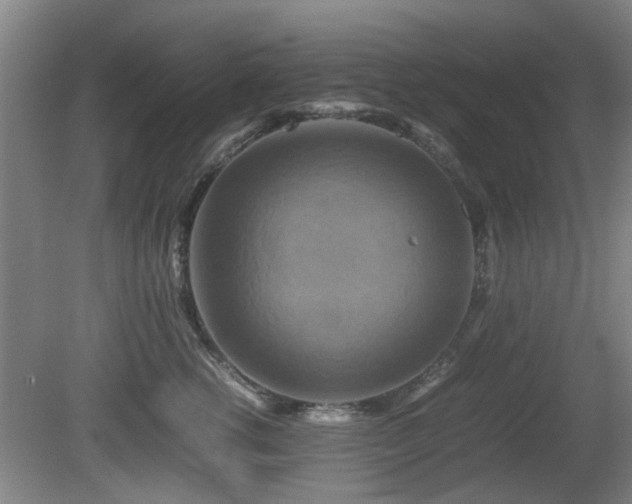 X0000080660762200612221051