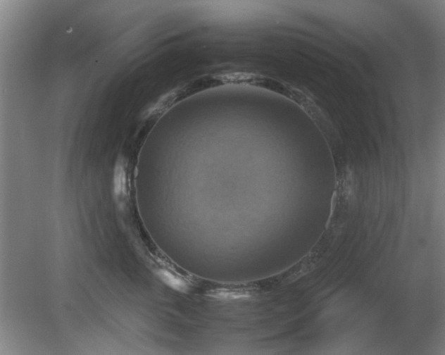 X0000080660763200612221051