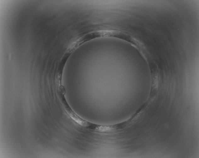 X0000080660766200612221051