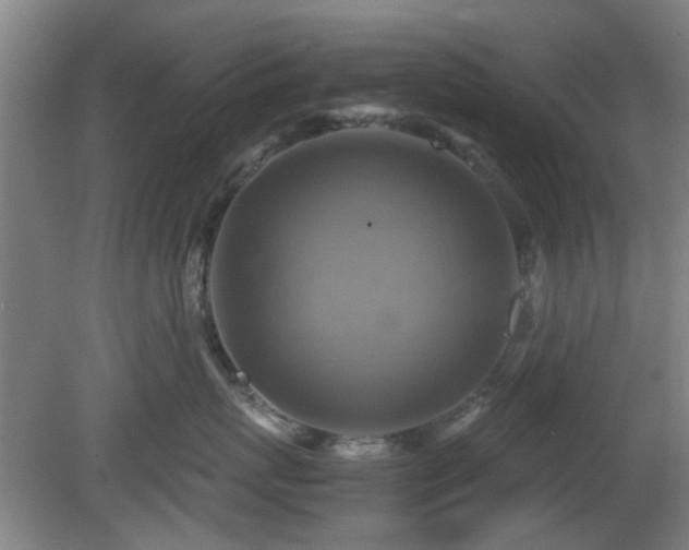 X0000080660767200612221051