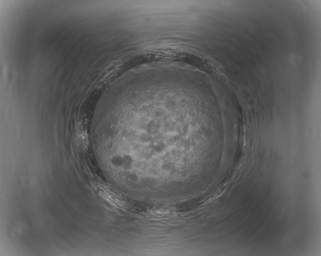 X0000080660771200612221050