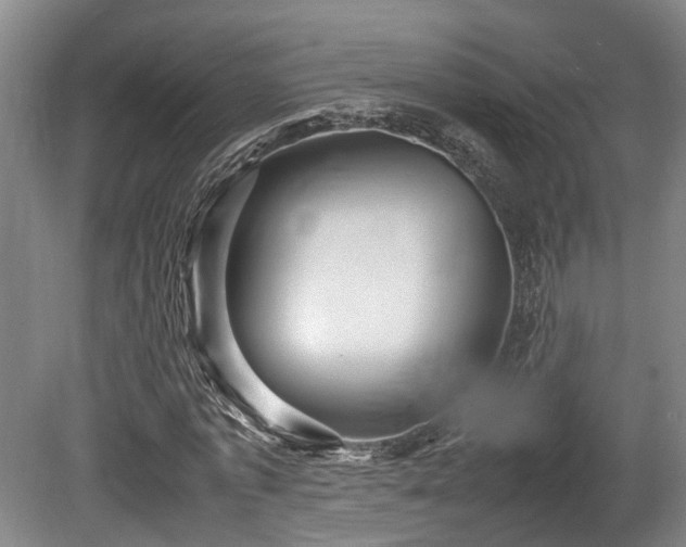 X0000080660773200612221050