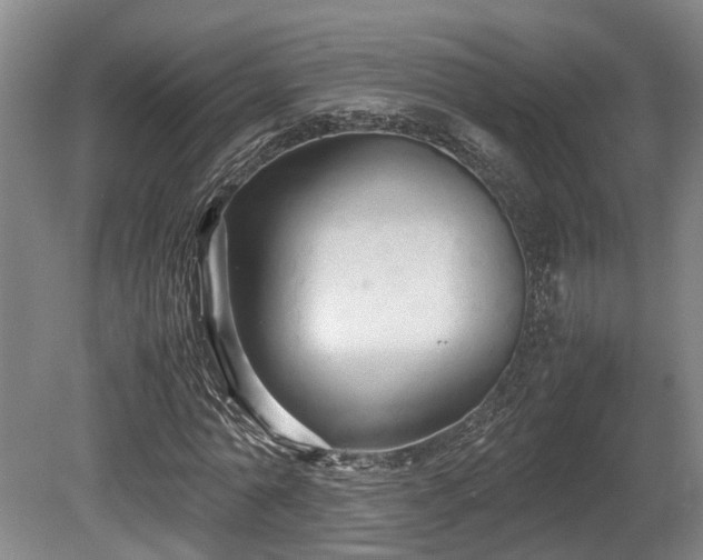 X0000080660774200612221050