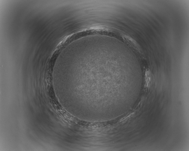 X0000080660776200612221050