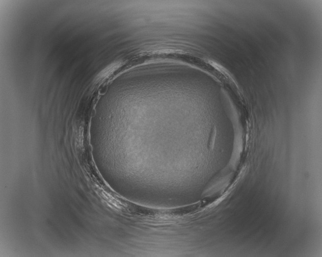 X0000080660777200612221050