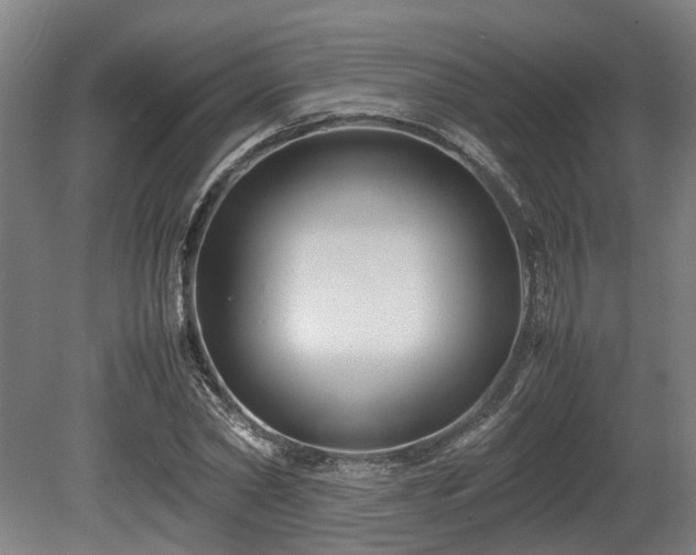 X0000080660782200612221050