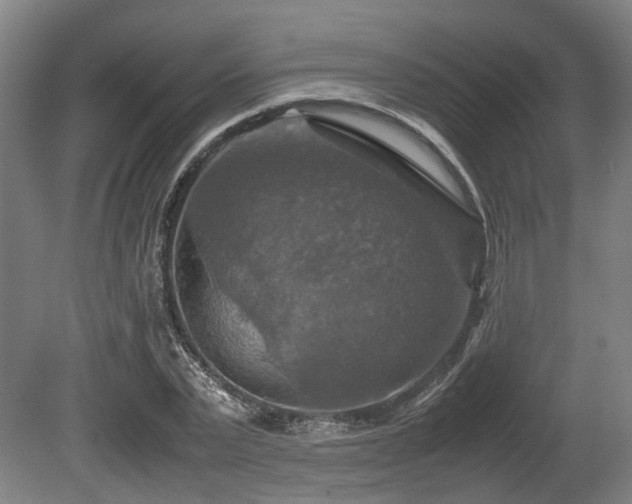 X0000080660783200612221050