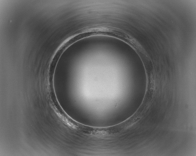 X0000080660784200612221050