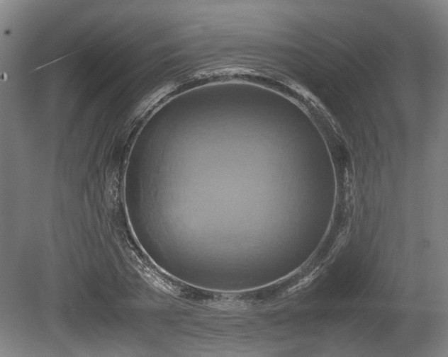 X0000080660785200612221050