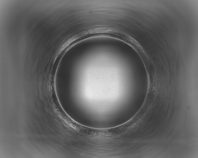 X0000080660786200612221050