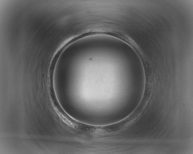 X0000080660787200612221050