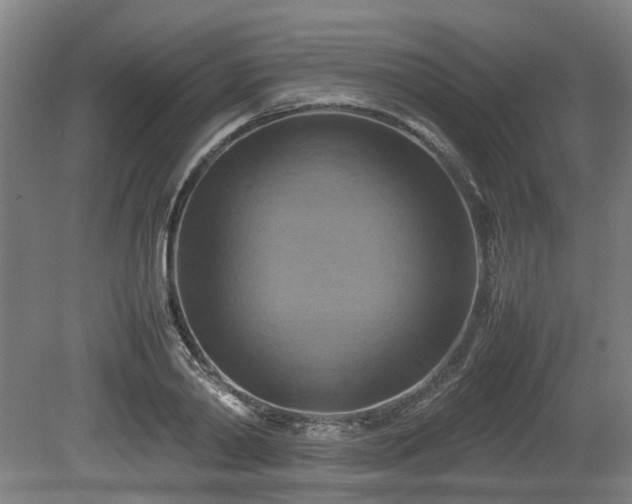X0000080660790200612221050