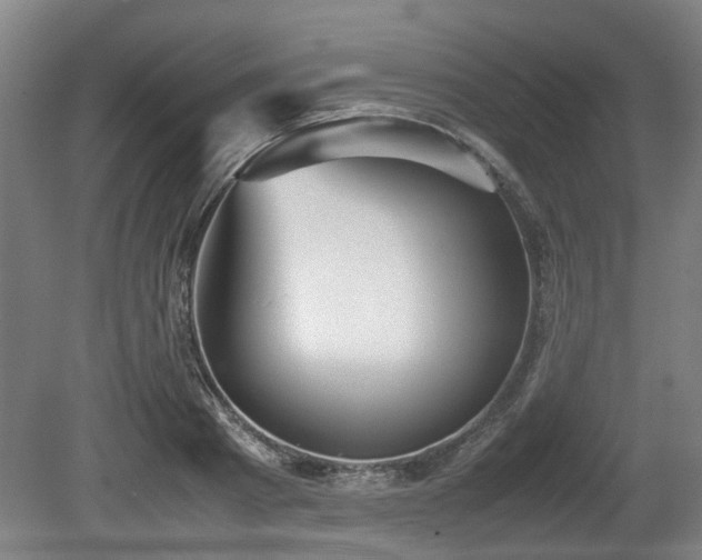 X0000080660793200612221049