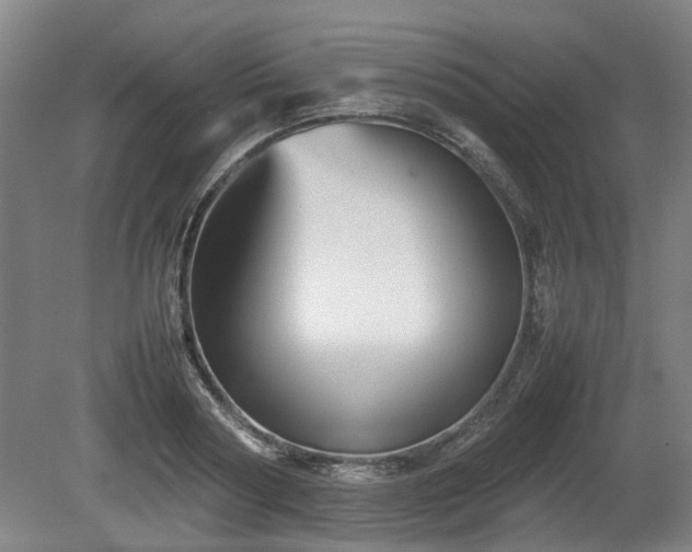 X0000080660794200612221049