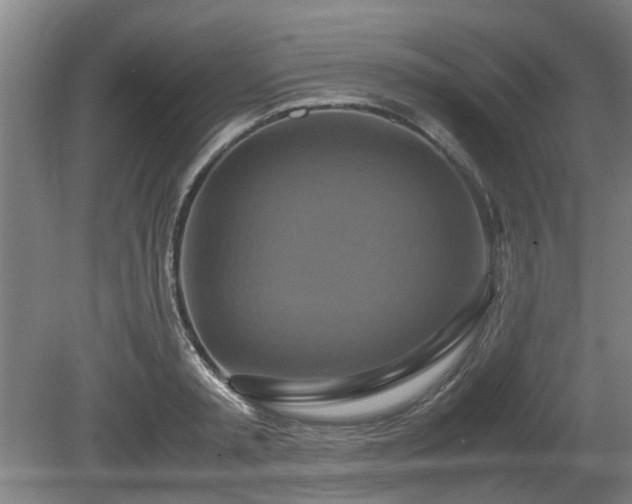 X0000080660797200612221049