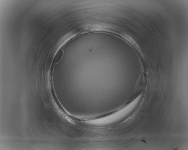 X0000080660798200612221049