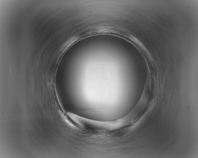 X0000080660801200612221049