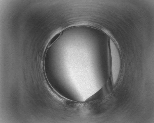 X0000080660805200612221049