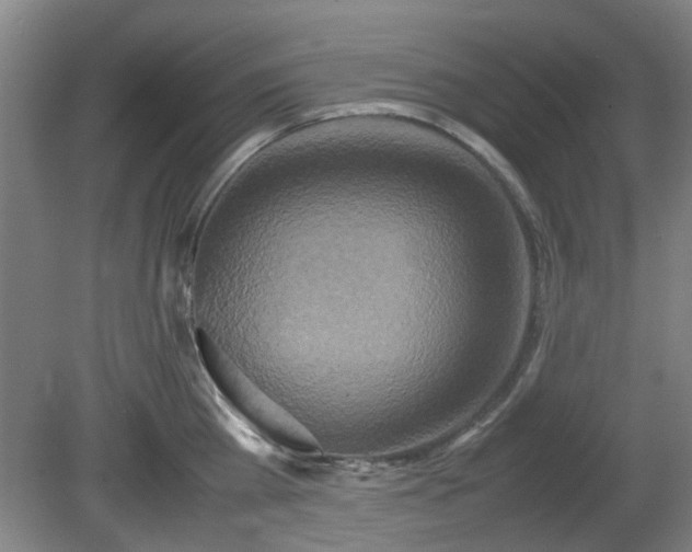 X0000080660809200612221049