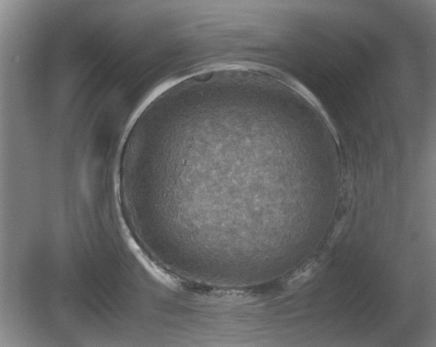 X0000080660811200612221049