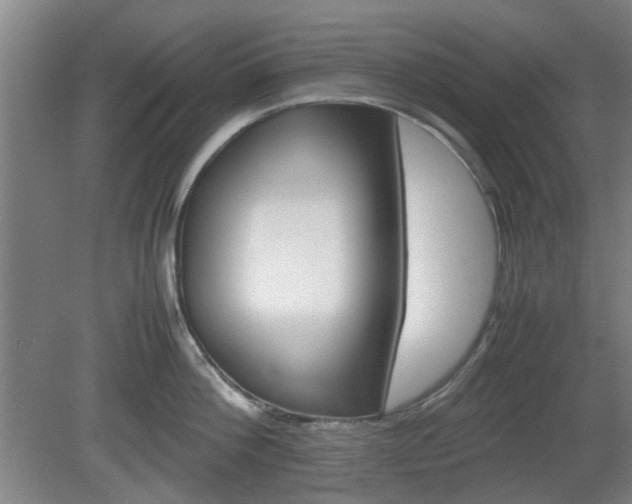 X0000080660812200612221049