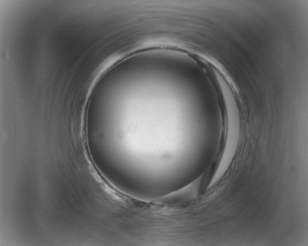 X0000080660815200612221049