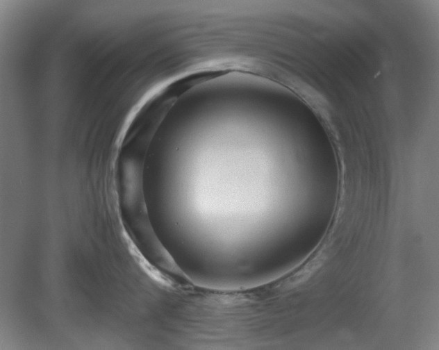 X0000080660816200612221049