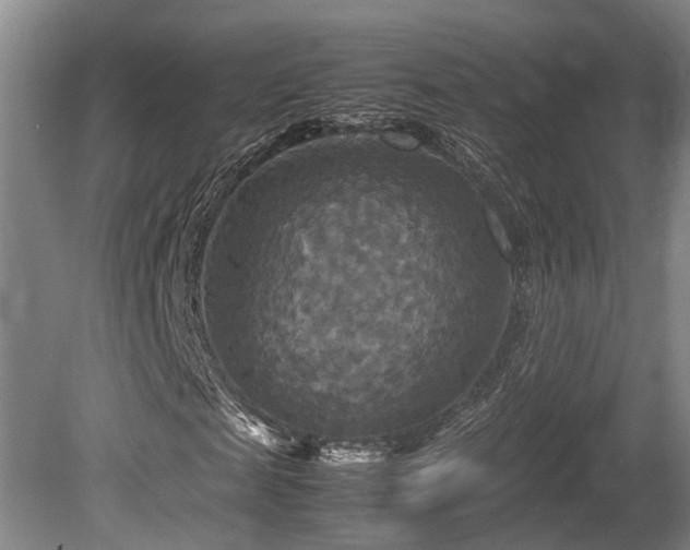 X0000080660817200612221048