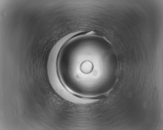X0000080660818200612221048