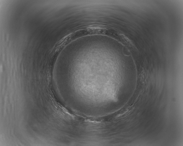 X0000080660821200612221048