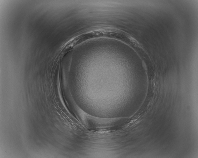 X0000080660822200612221048