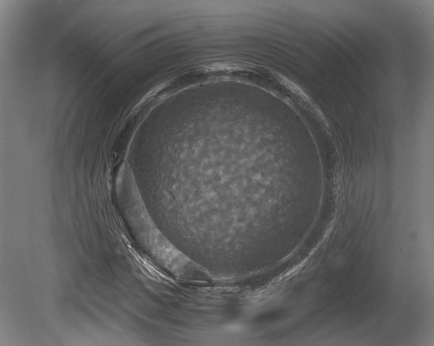 X0000080660825200612221048