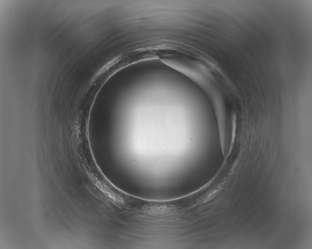 X0000080660826200612221048