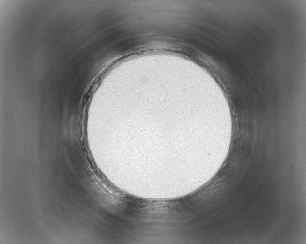 X0000080660828200612221048